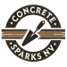 concrete sparks nv